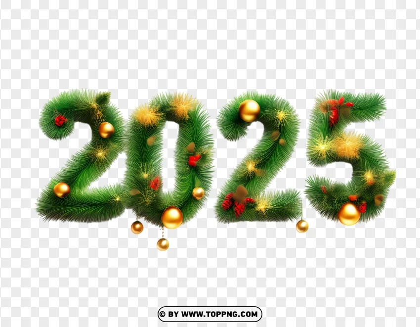 2025 With Christmas Ornaments And Baubles PNG Transparent Background