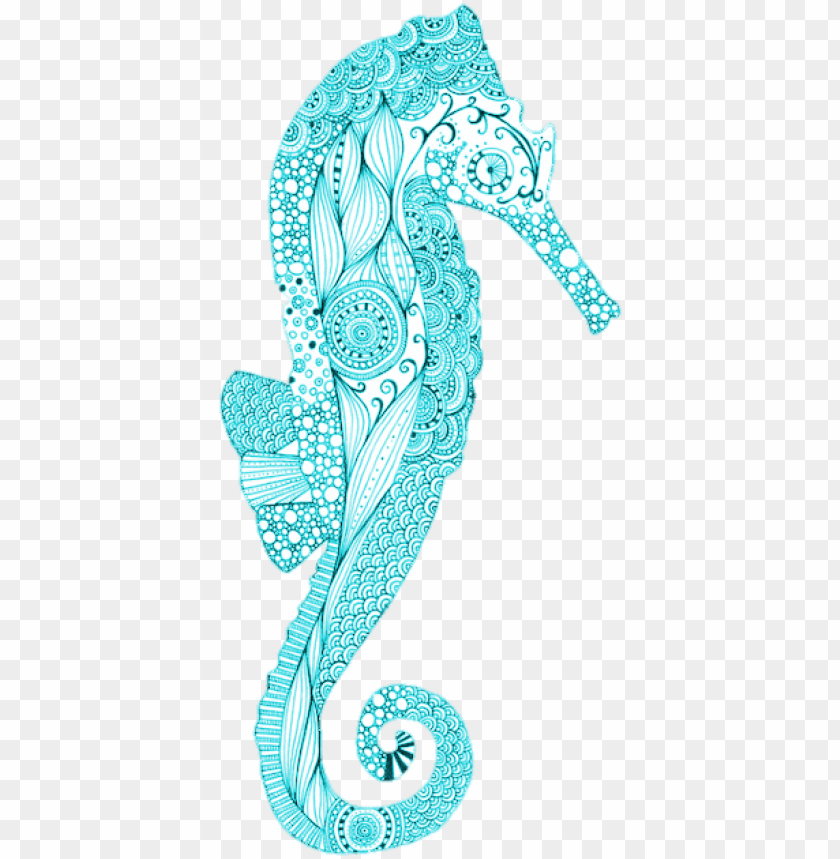 369 Images About S W E E T S E A On We Heart It - Northern Seahorse PNG Transparent Background