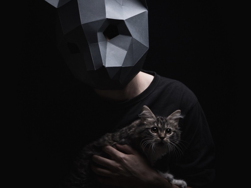 3d-mask, mask, cat, dark, surround