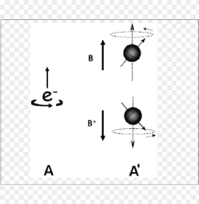 atom, electron, magnetic field, quantum physics, particle motion, physics diagram, science illustration