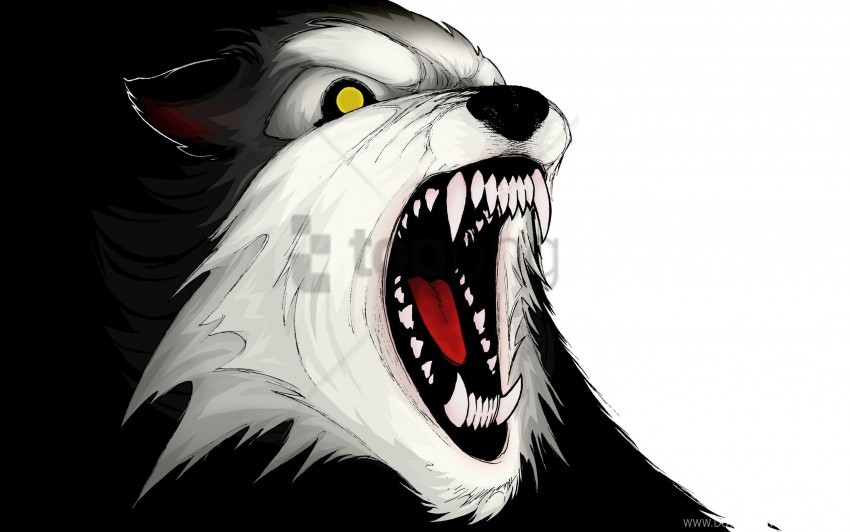 Aggression Teeth Vector Wolf Wallpaper PNG Transparent Background