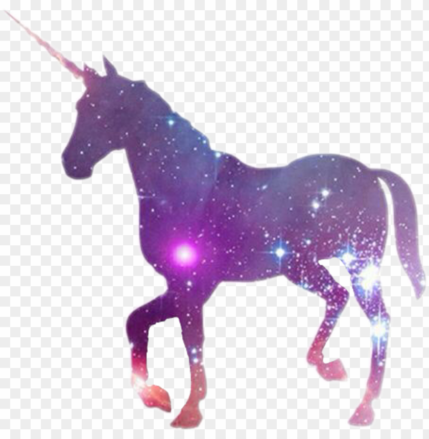 space, facebook, horse, twitter, star, internet, animal