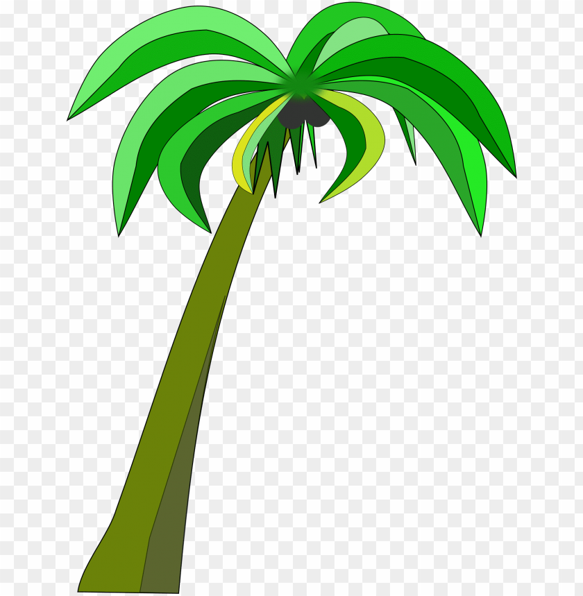 palm tree, web, pharmacy, technology, isolated, internet, medical