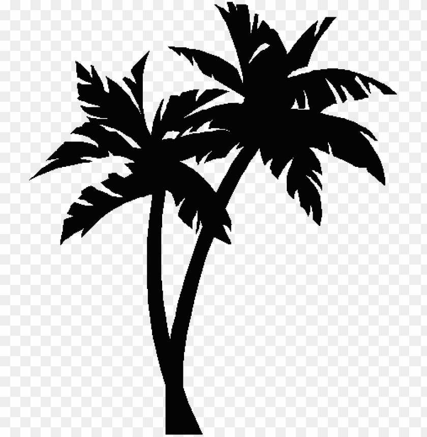 palm tree, isolated, photo, male, illustration, animal, imagination