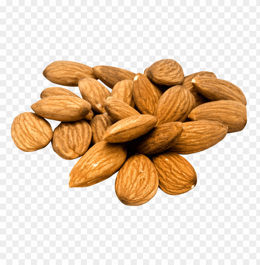 nuts, nut, fruit, almond