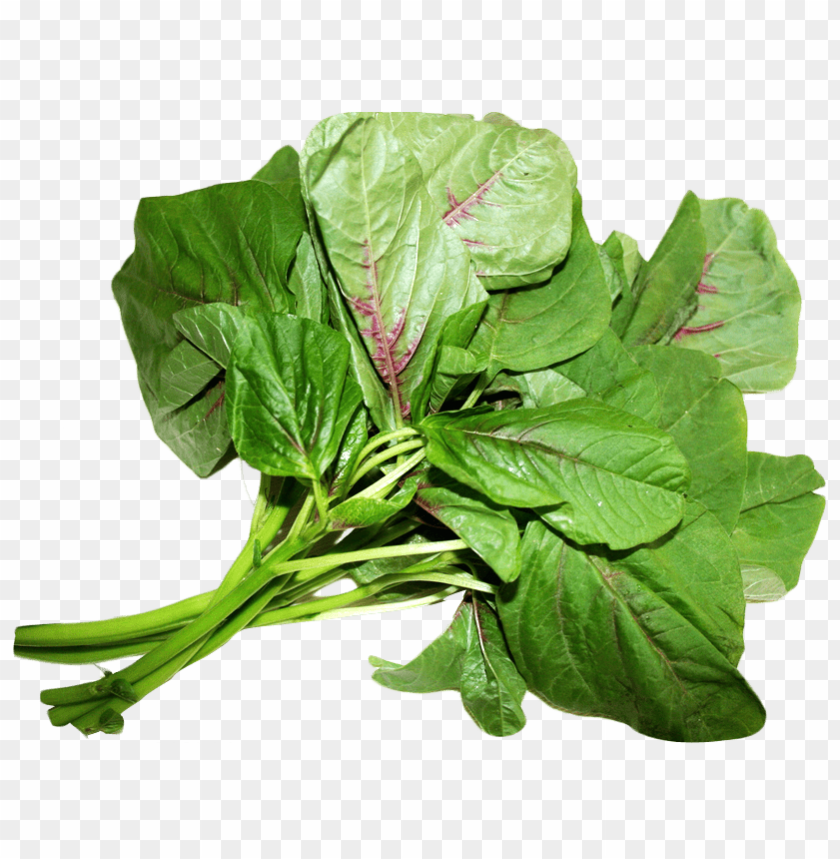 
vegetables
, 
spinach
, 
amaranth leaves
, 
leafs
