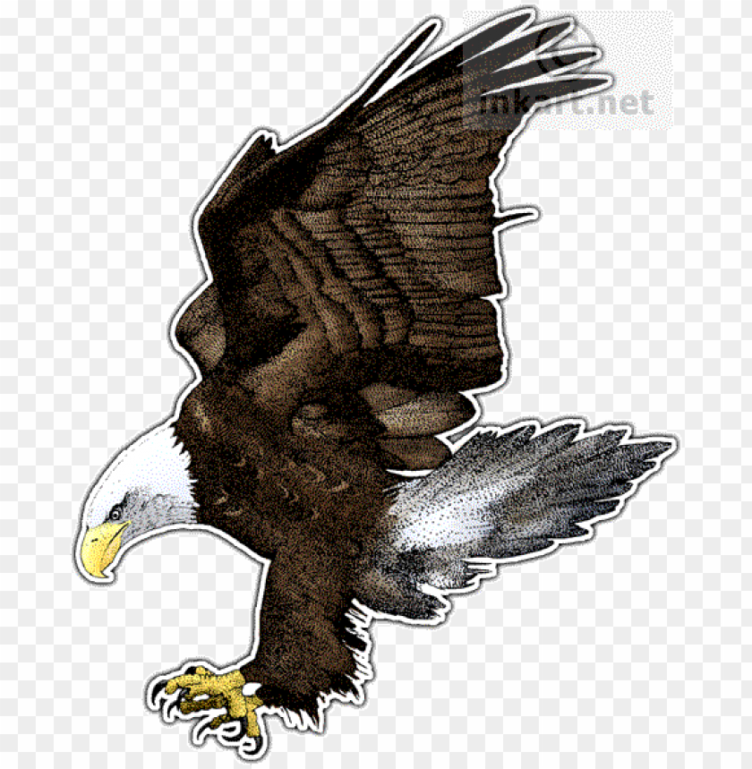 bald eagle, american eagle, american flag eagle, bald eagle head, grunge american flag, american express logo