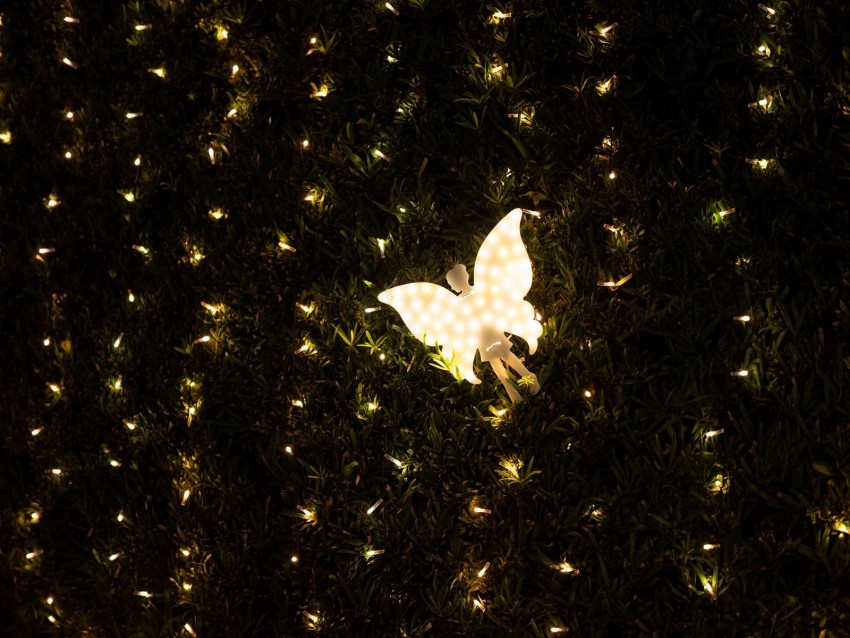 angel, garland, light, backlight, dark, decoration