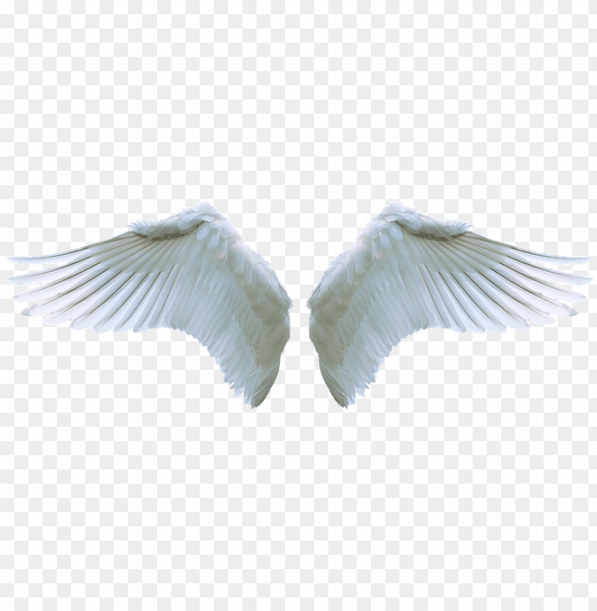 Angel Wing Picture Stock - Guardian Angel Angel Wings PNG Transparent Background