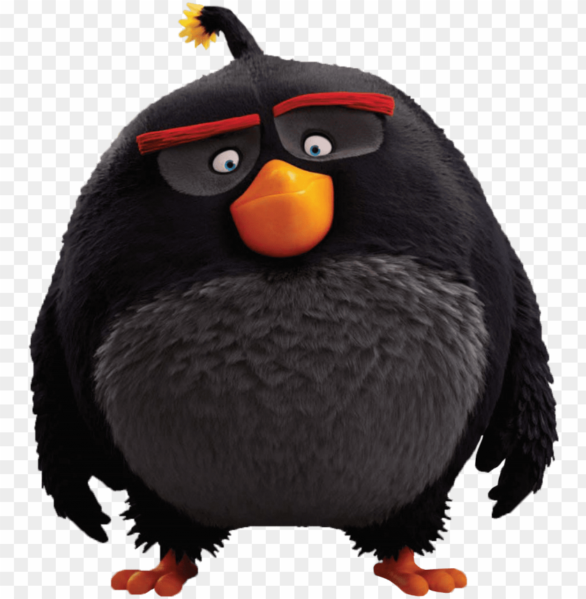 cartoon bird, animated character, black bird, round bird, bird with orange beak, fluffy bird, colorful eyebrows