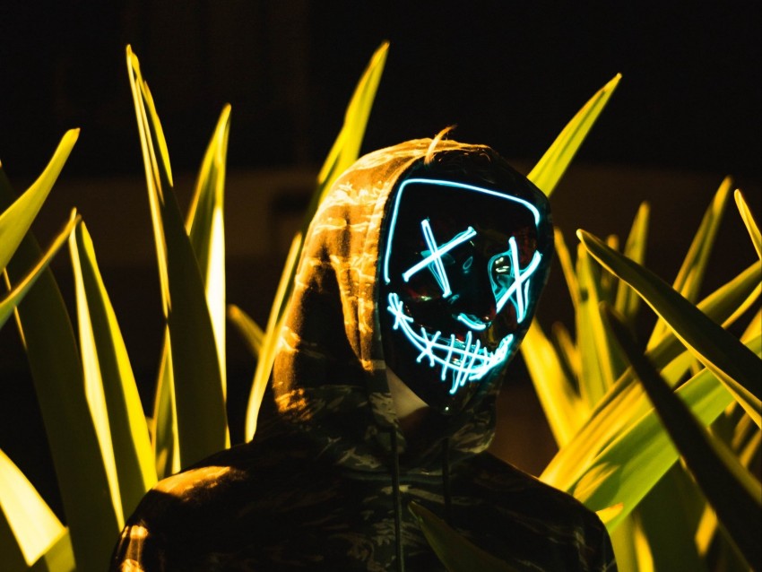 Anonymous Mask Hood Leaves Lights Background