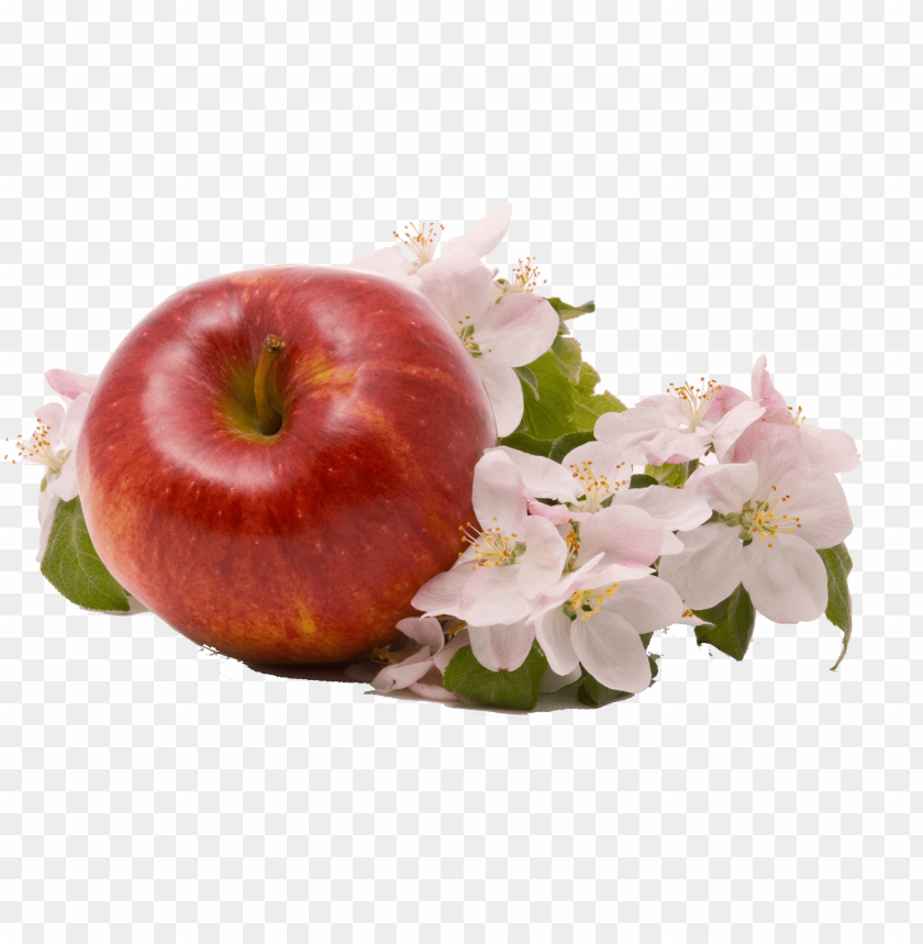 apple logo, abstract, food, flowers, pie, leaves, bakery