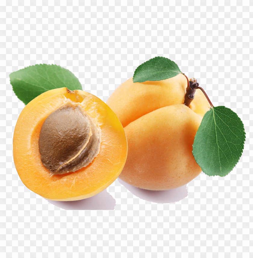 fruit, apricot, healthy snack, vitamin rich, stone fruit