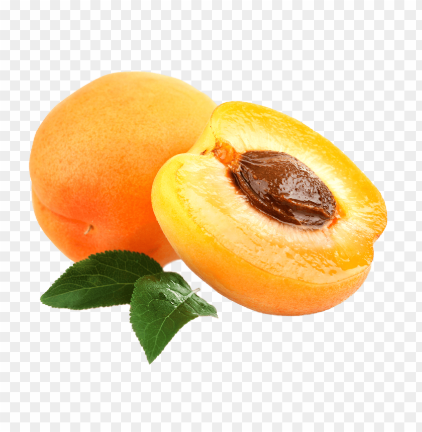 
apricot
, 
fruit
, 
stone fruits
, 
stone fruitsbrigantina
, 
from small tree
