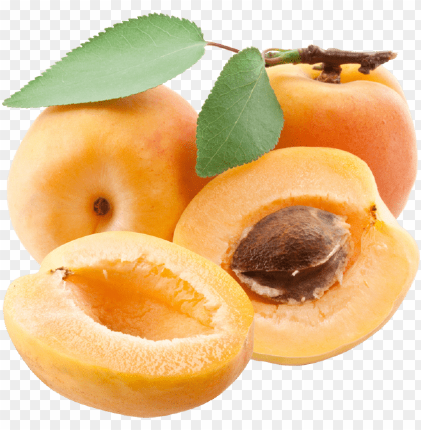 
apricot
, 
fruit
, 
stone fruits
, 
stone fruitsbrigantina
, 
from small tree
