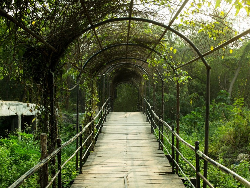 Arch Tunnel Garden Passage Background