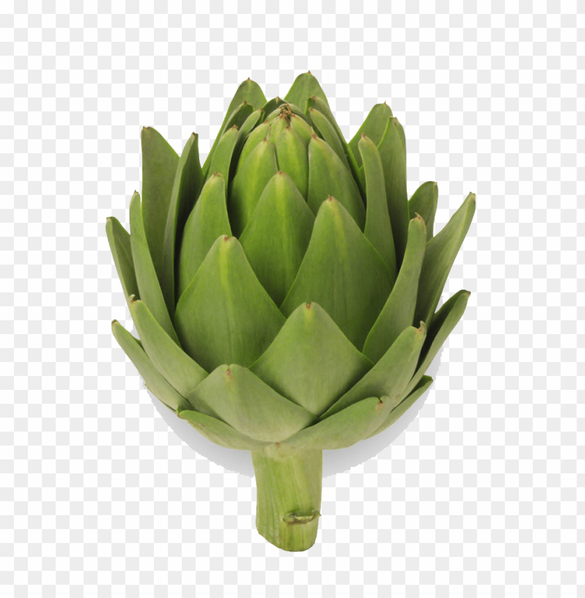 food, cynara, artichoke, vegetable, leaf vegetable, asparagus, fruit