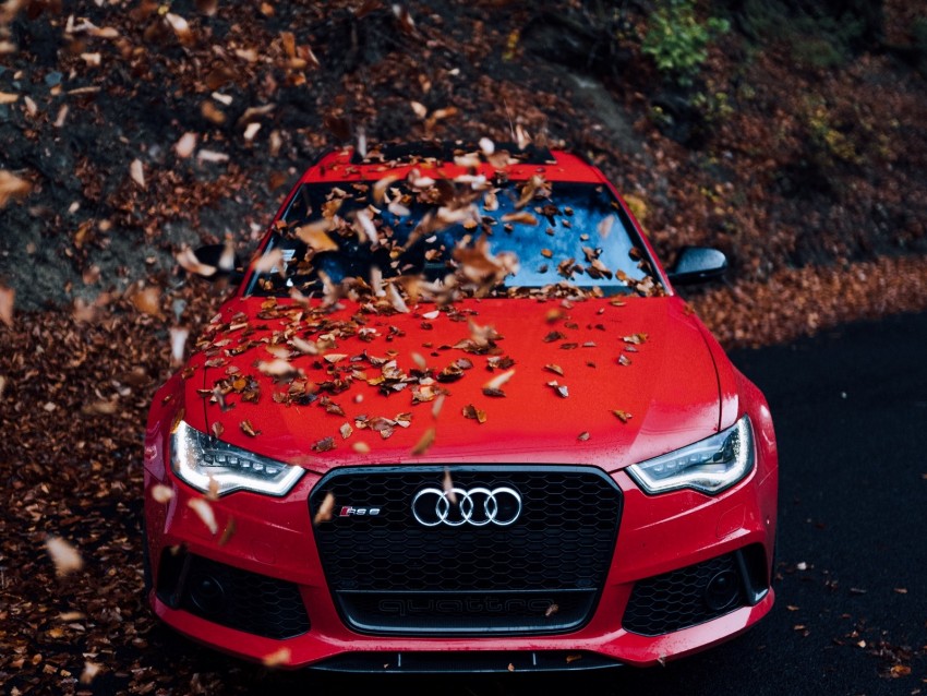 Audi Car Front View Red Bumper Foliage Autumn Background