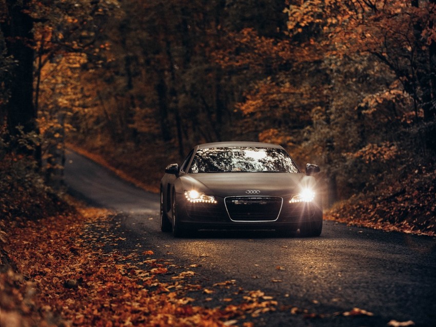 audi tt, audi, road, autumn, movement, asphalt