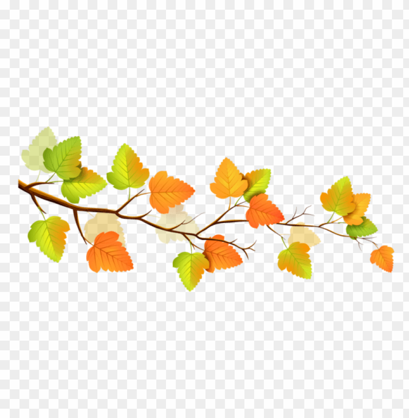 nature, leaf, leaves, autumn,الطبيعة , أوراق , أوراق 