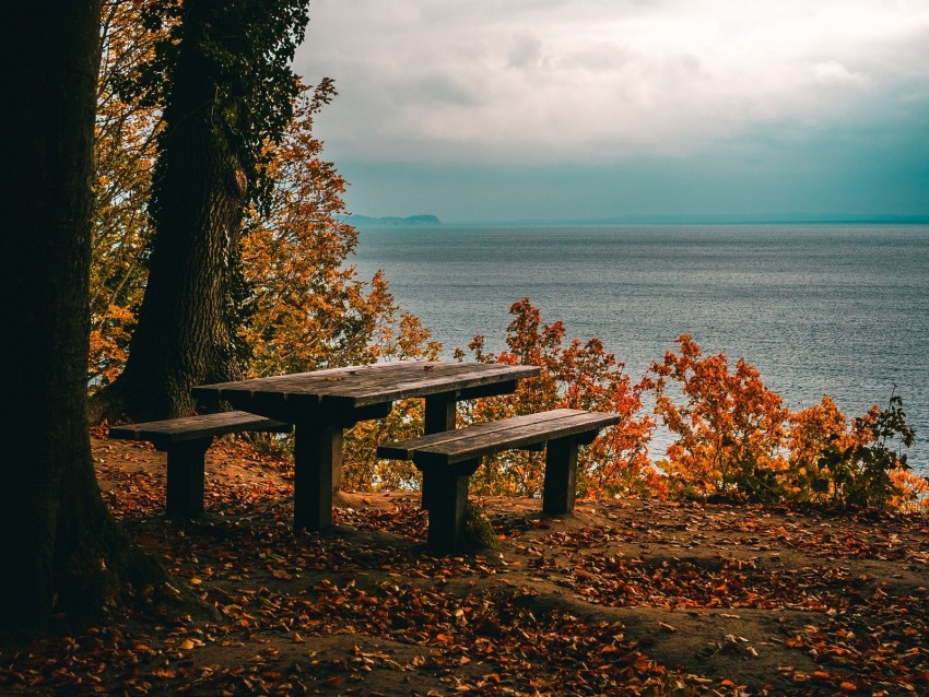 Autumn Benches Table Sea Shore Trees Foliage Background