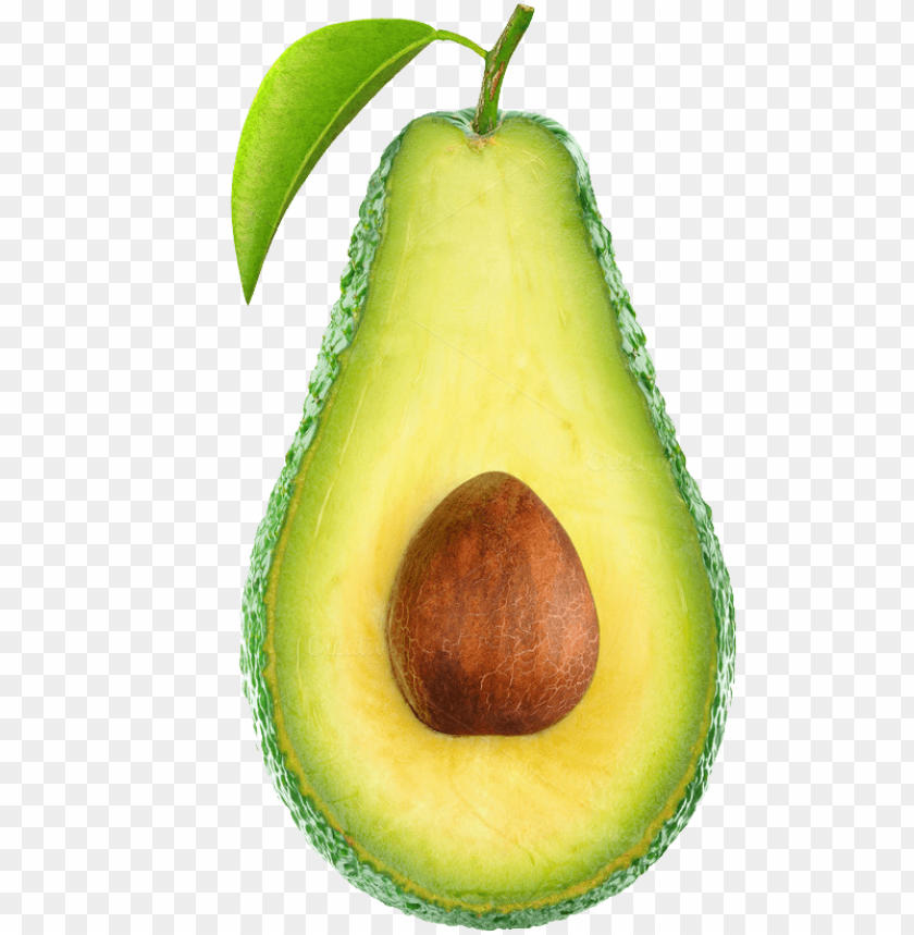 
avocado
, 
flowering plant
, 
alligator pear
, 
single seed
, 
mediterranean
, 
food
, 
fruit
