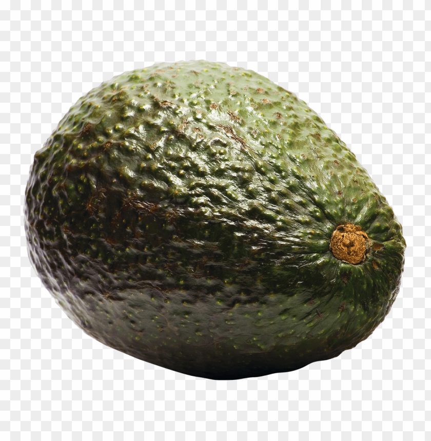 
avocado
, 
flowering plant
, 
alligator pear
, 
single seed
, 
mediterranean
, 
food
, 
fruit
