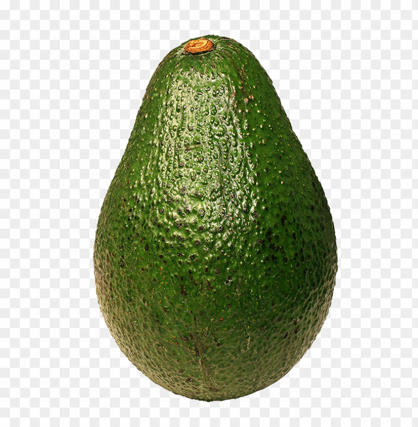 
avocado
, 
flowering plant
, 
alligator pear
, 
single seed
, 
mediterranean
, 
food
, 
fruit
