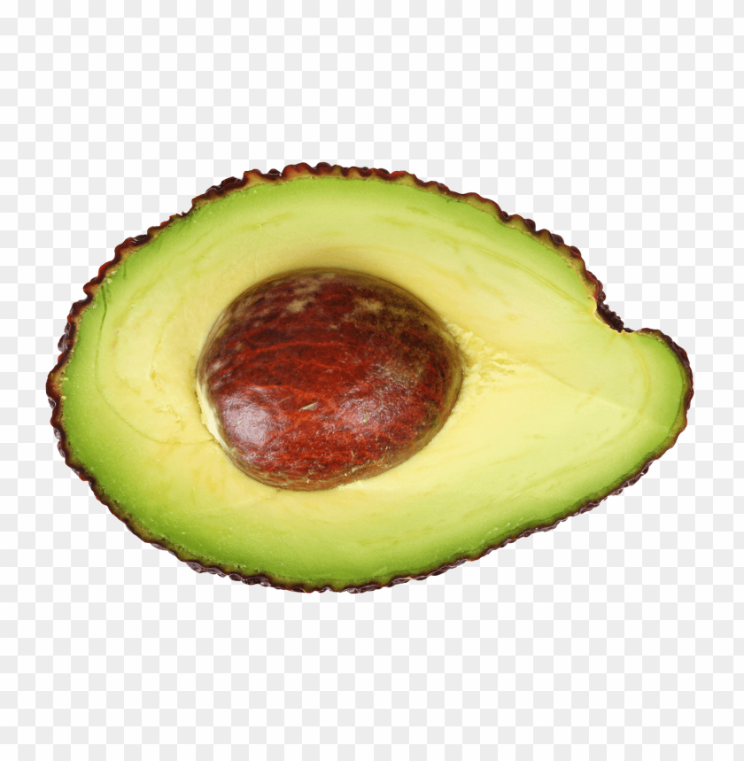 fruits, avocado, alligator pear, persea americana, half avocado