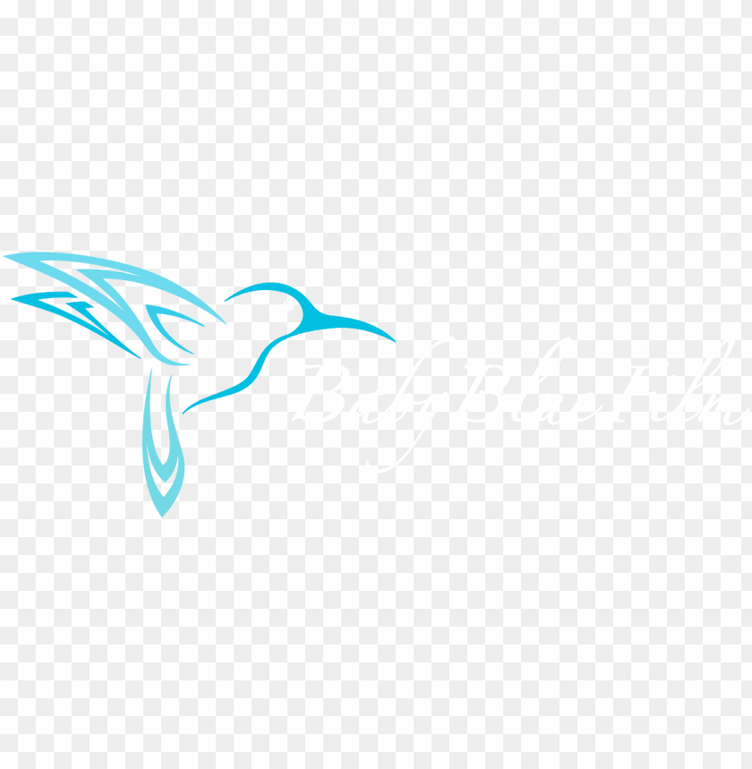 baby shower, banner, birds, logo, hummingbird, frame, eagle