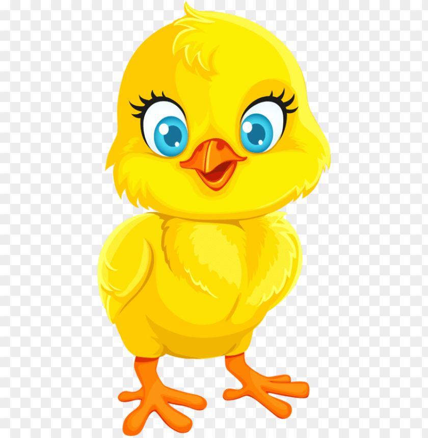 baby chicken png, babyc,babychicken,chicken,babychic,babychick,baby