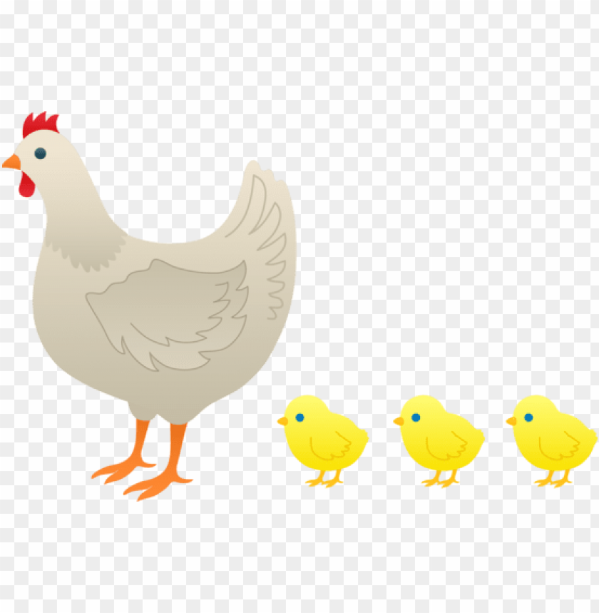 baby chicken png, babyc,babychicken,chicken,babychic,babychick,baby