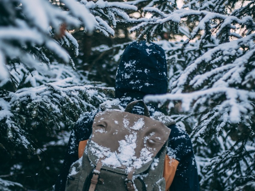 backpack, snow, winter, tourist, tourism, travel