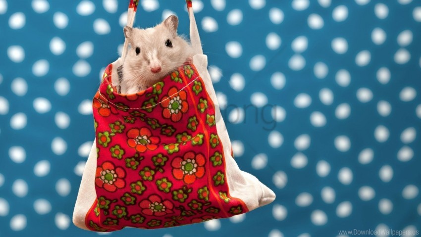 hamster, floral bag, cute pet, small animal, colorful background, animal portrait, playful hamster