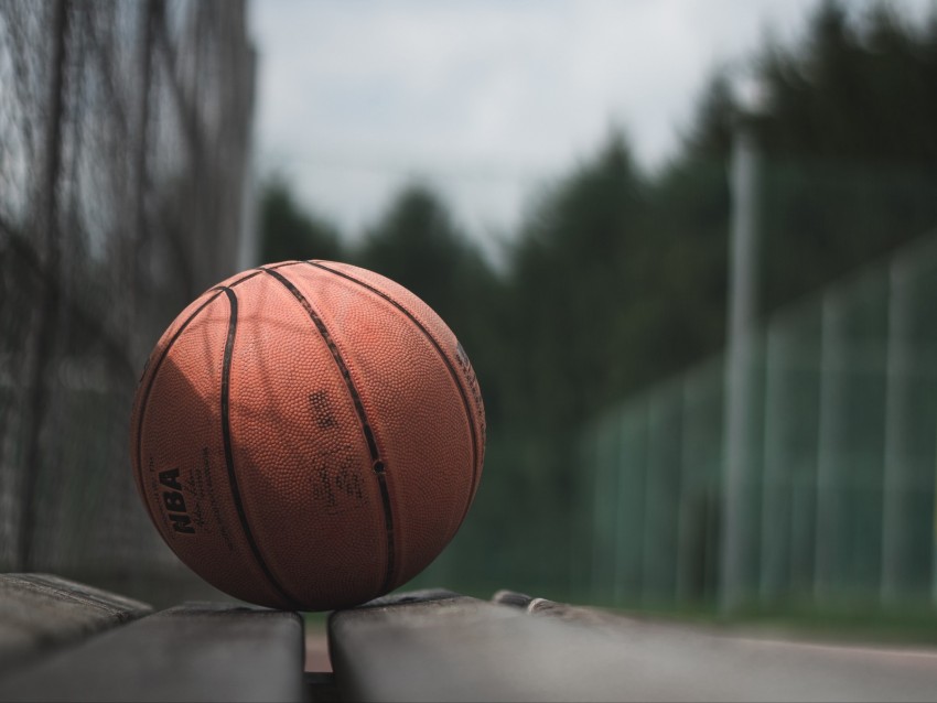 ball, basketball, bench, sport, game