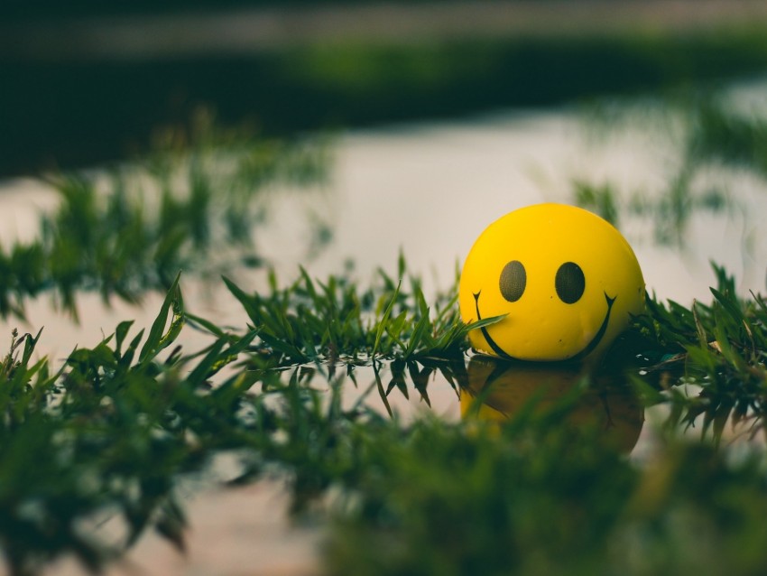 ball, smile, smiley, grass, water