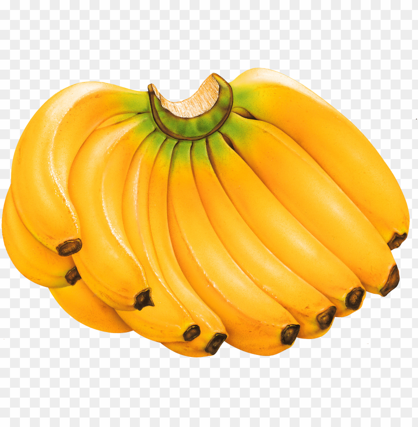 
banana
, 
banana's
, 
yellow banana
, 
botanically a berry
, 
edible fruit
, 
herbaceous
, 
genus musa
