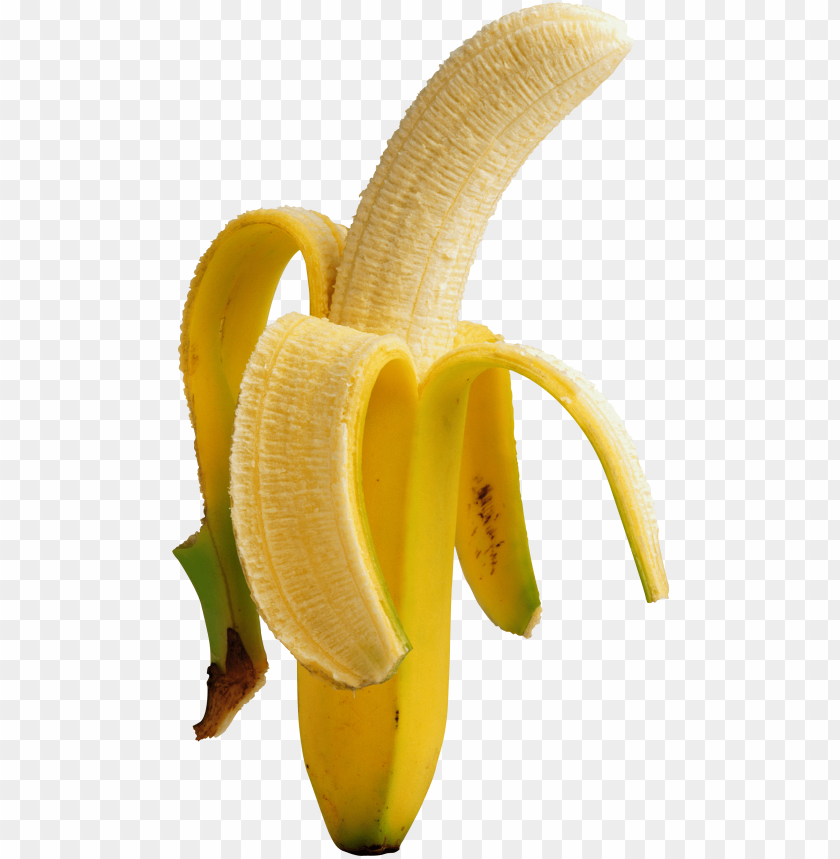 
banana
, 
banana's
, 
yellow banana
, 
botanically a berry
, 
edible fruit
, 
herbaceous
, 
genus musa
