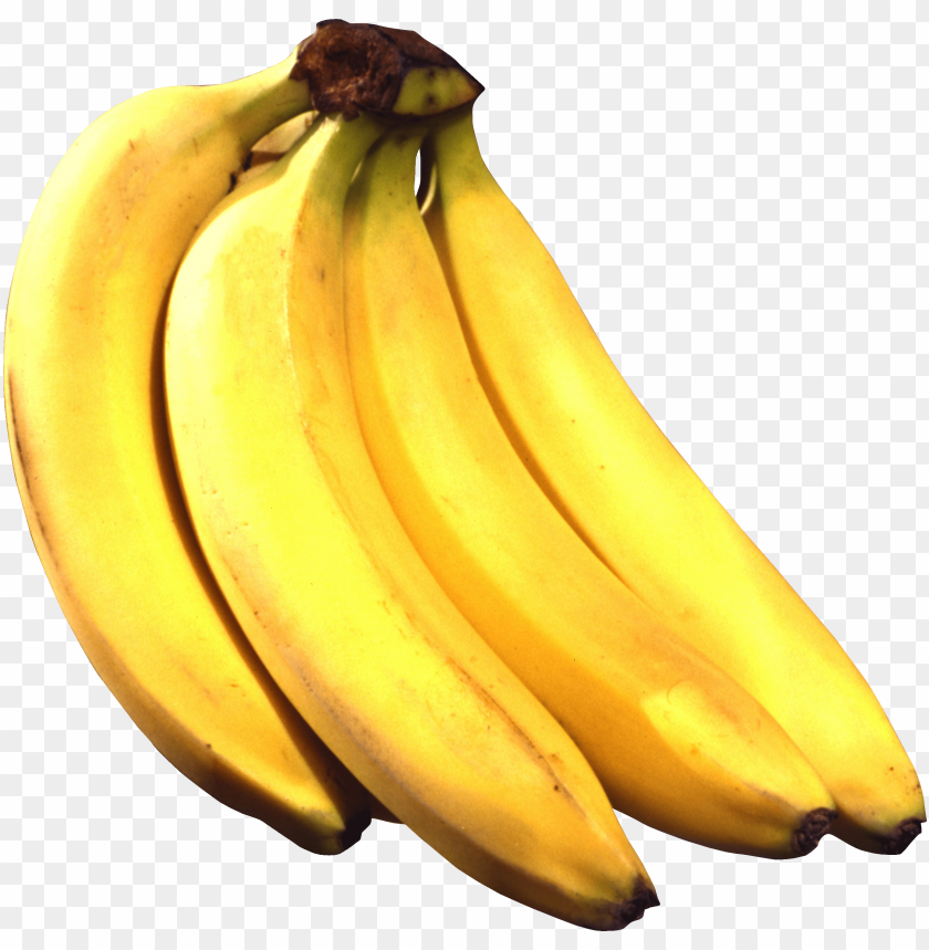 
banana
, 
banana's
, 
yellow banana
, 
botanically a berry
, 
edible fruit
, 
herbaceous
, 
genus musa
