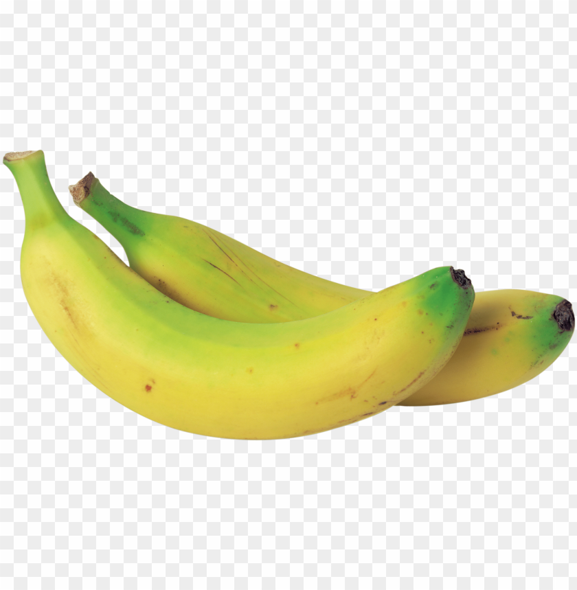 
banana
, 
banana's
, 
yellow banana
, 
botanically a berry
, 
edible fruit
, 
herbaceous
, 
genus musa
