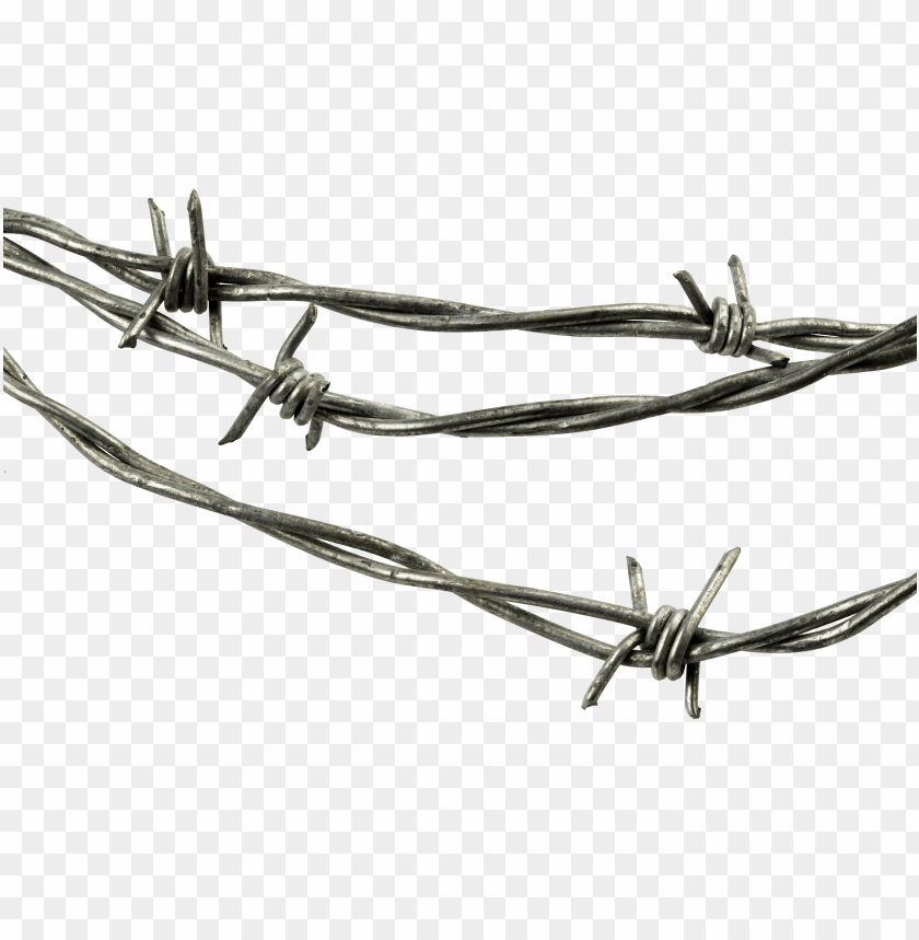 
barbwire
, 
barbed wire
, 
metal wire
, 
boundari wire
