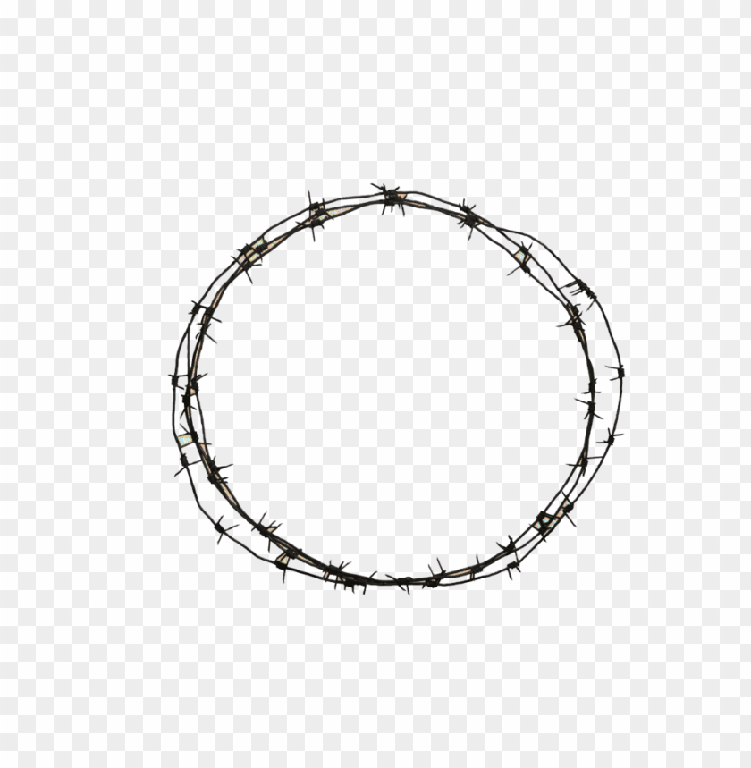 
barbwire
, 
barbed wire
, 
metal wire
, 
boundari wire
