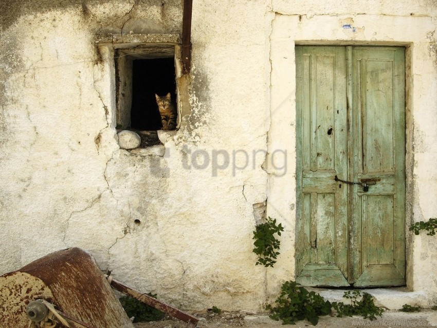 Barn Cat Door Look Out Wallpaper PNG Transparent Background