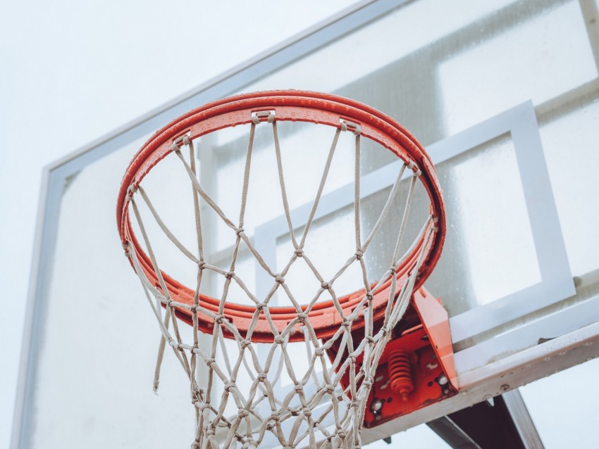 basketball hoop, basketball, hoop, net, backboard