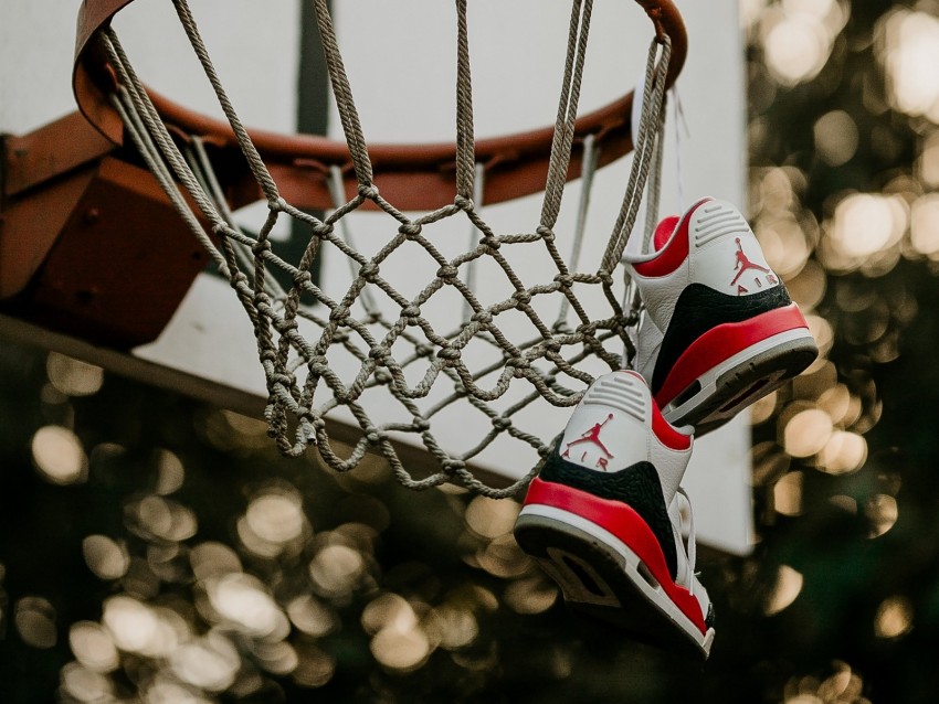 basketball hoop, sneakers, net, shield, basketball