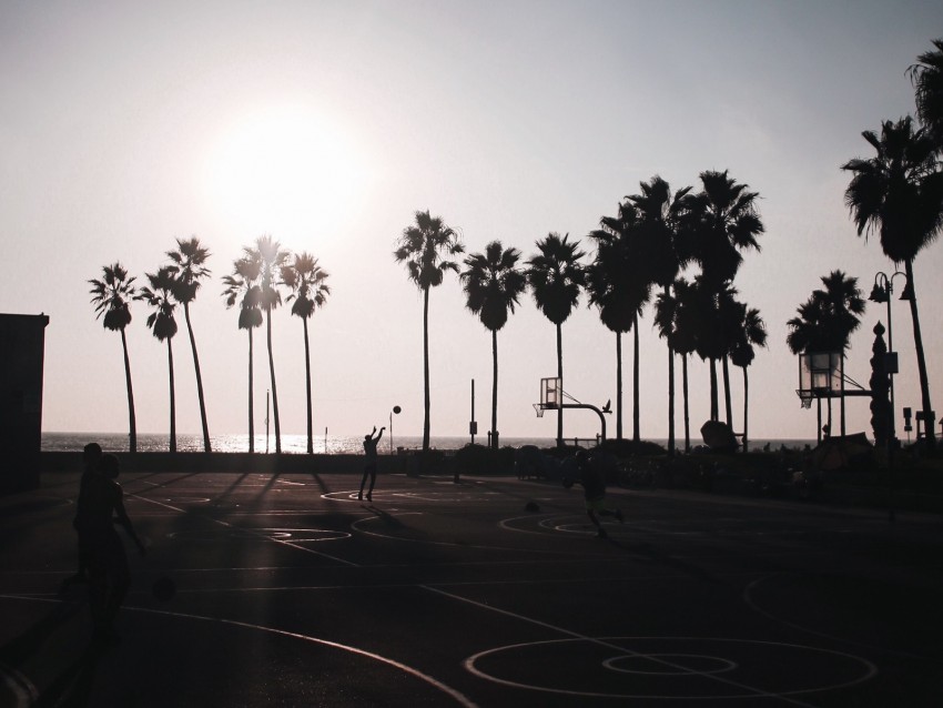 basketball, playground, dark, silhouettes, palm trees, sun