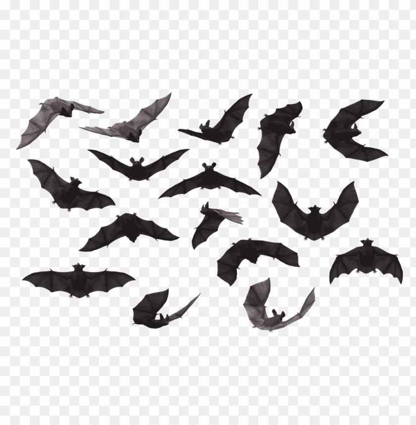 A collection of flying bats in various positions on a transparent background PNG