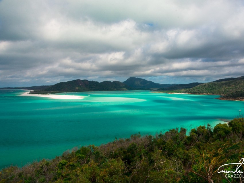 beach, ocean, landscape, coast, trees, sky