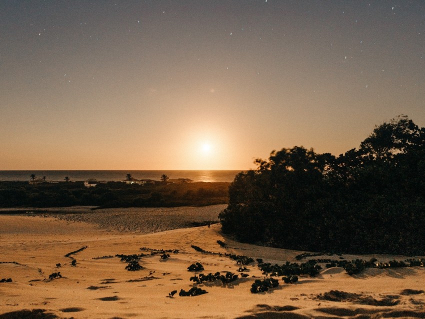 beach, sand, sunset, twilight, sun, horizon, bushes