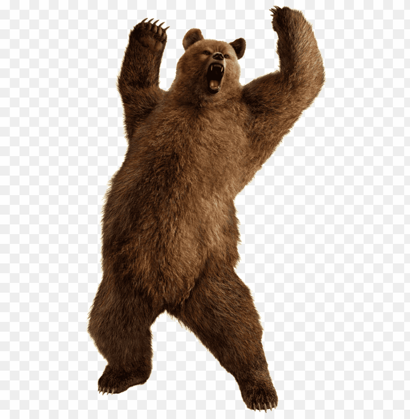 A roaring brown bear standing on its hind legs in an energetic pose PNG